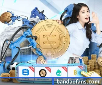 半岛体育 APP
